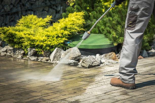 Best Gutter Cleaning  in Spring City, TN