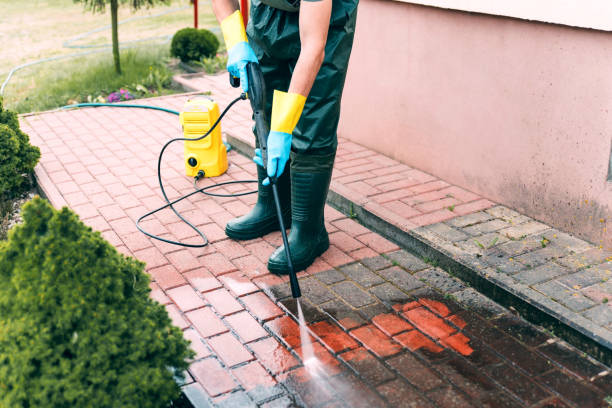 Best Building Exterior Washing  in Spring City, TN