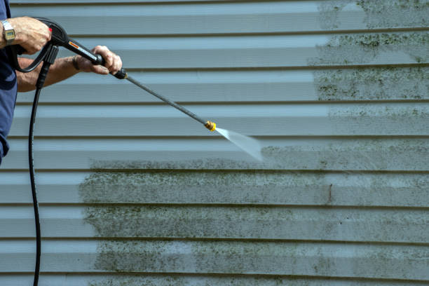 Best Driveway Pressure Washing  in Spring City, TN